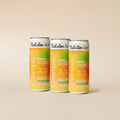 Detox Shampoo — Refill 3-Pack