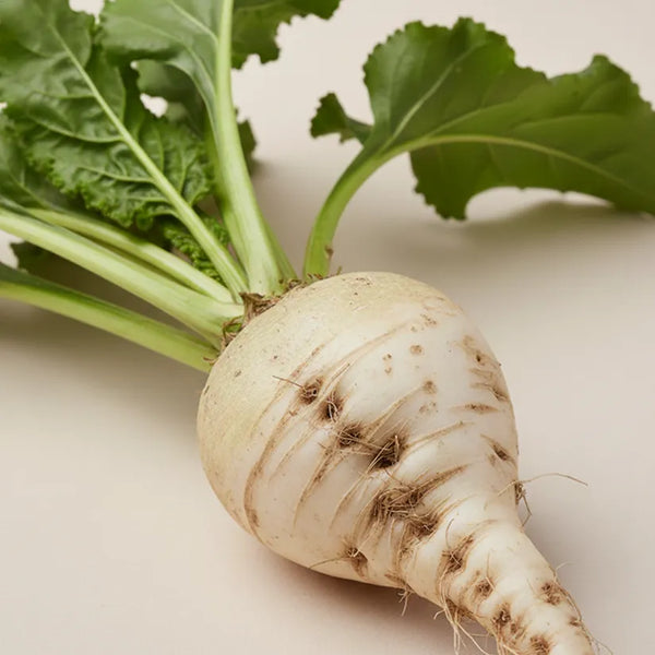 KER ingredient: Sugar Beet